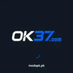 OK 37 Game