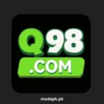 Q98 Game
