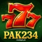 PAK234 Game