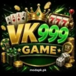 VK 999 Game