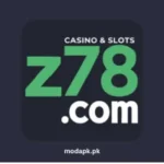 Z78 Game