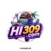 HI309 Game