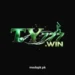 TY 777 Game