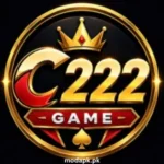 C222 Game