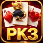 Pak3 Game