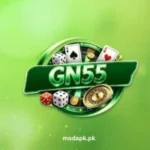 GN 55 Game