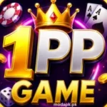 1PP Game